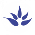 cropped-favicon-192x192